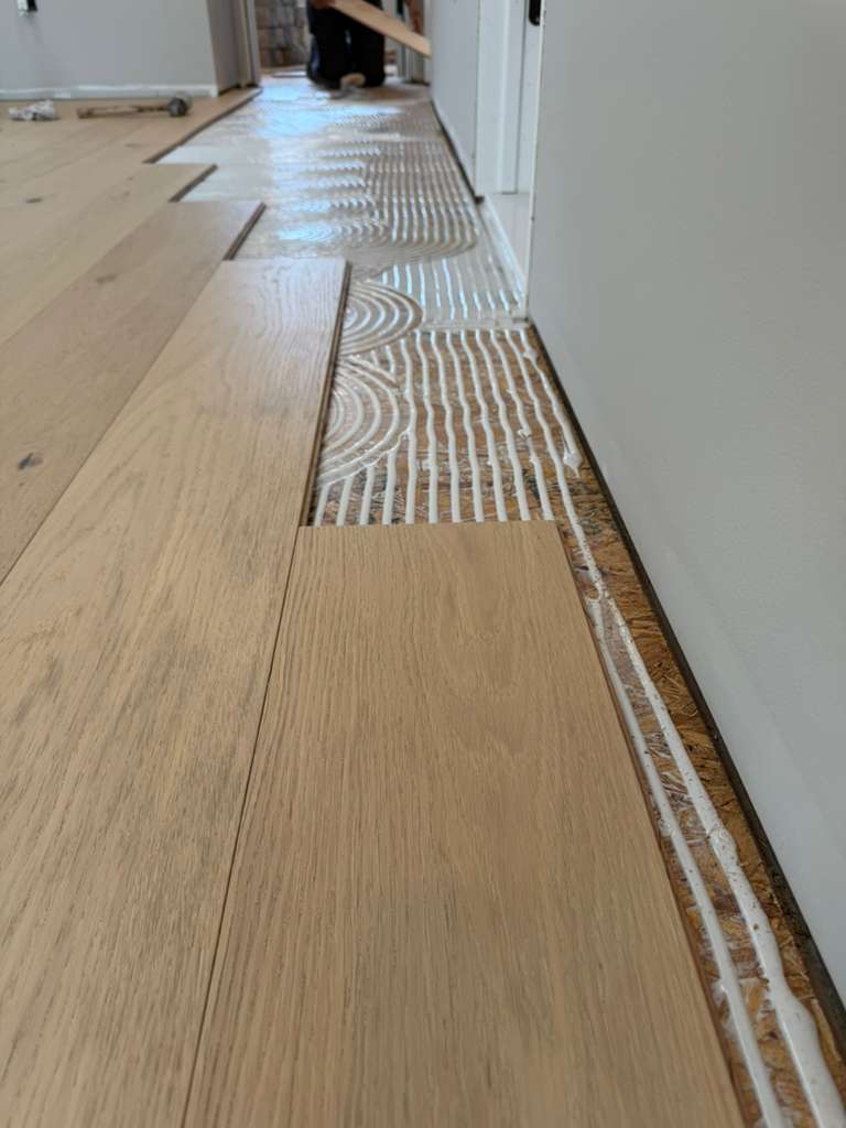 Refinished maple floors
